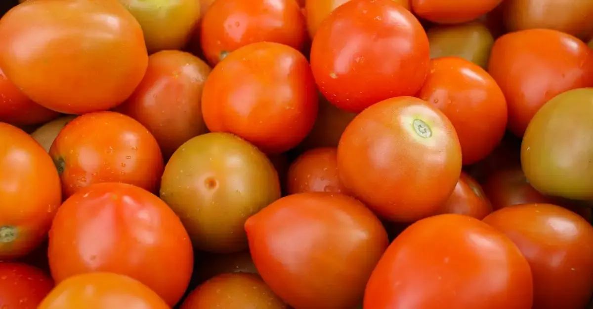 Développement durable alimentation