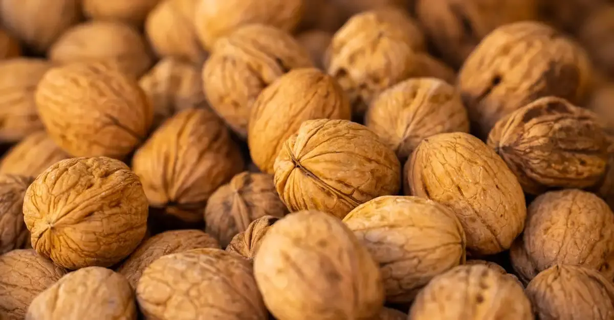 Atelier alimentation durable