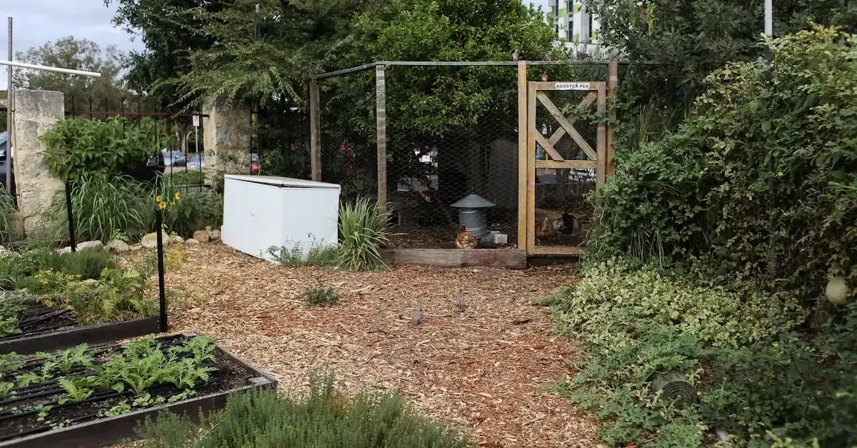 Brise Vue Durable : Solutions Écologiques et Résistantes