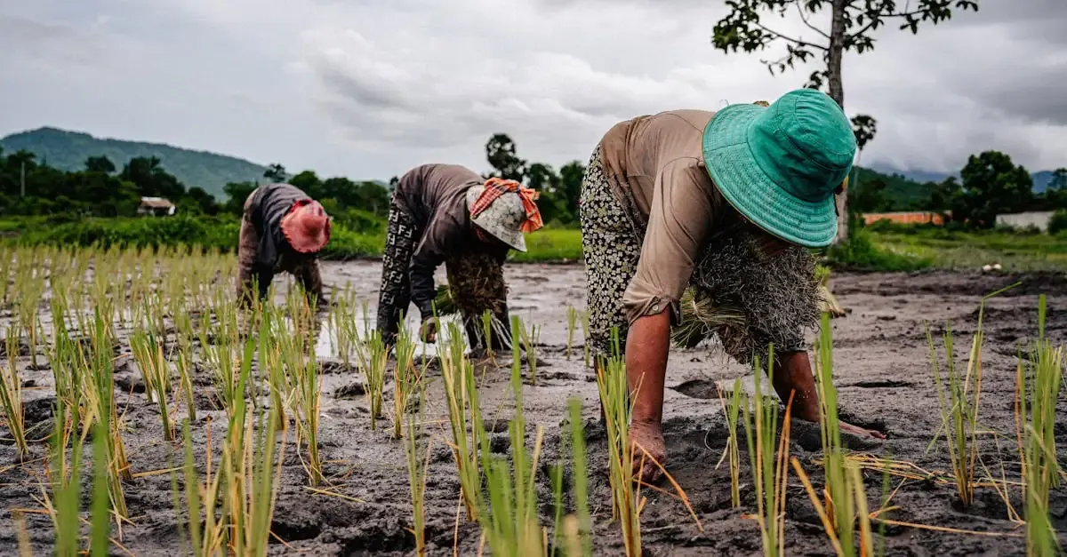 Https certibiocide din developpement durable gouv fr