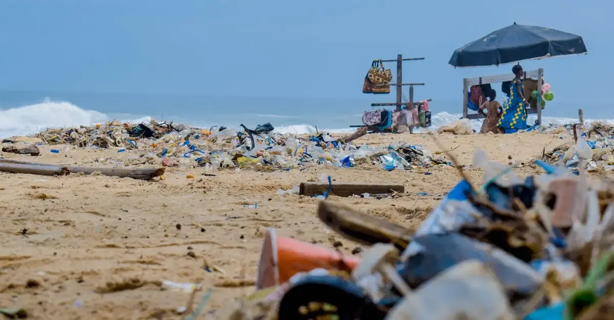 Commerce et Développement Durable : Stratégies et Solutions