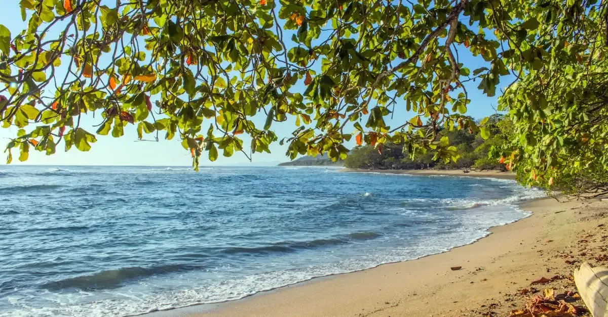 Tourisme durable au Costa Rica : Voyagez responsable