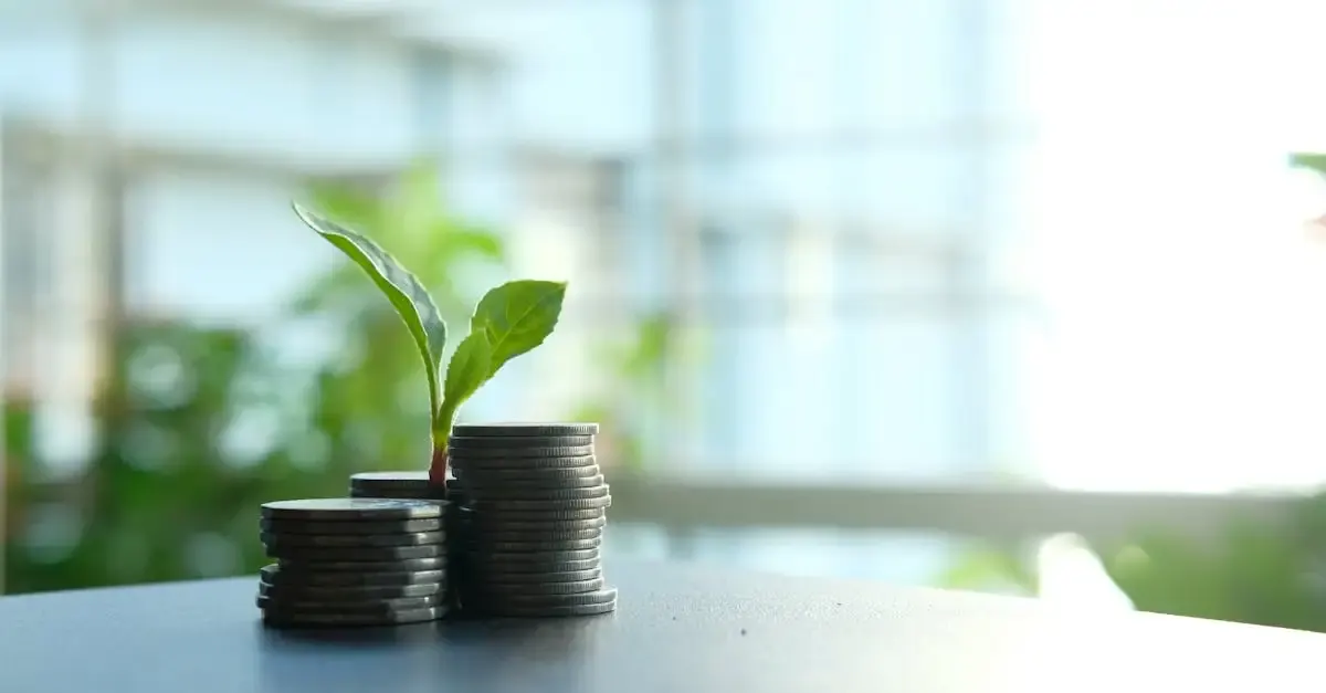 Développement durable et croissance économique : stratégies