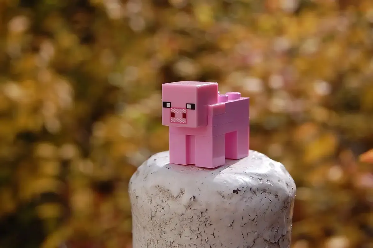 Guide de la durabilité des outils dans Minecraft
