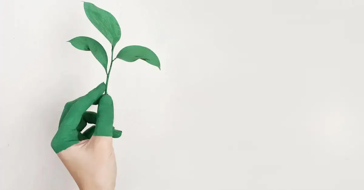 Qu'est-ce que la durabilité ? Définition complète et usages.