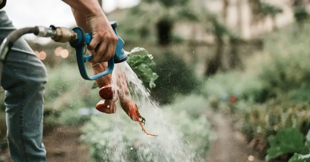 Eau et alimentation avenir durable