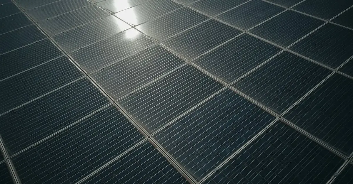 ESS et Développement Durable : Agir pour un avenir meilleur