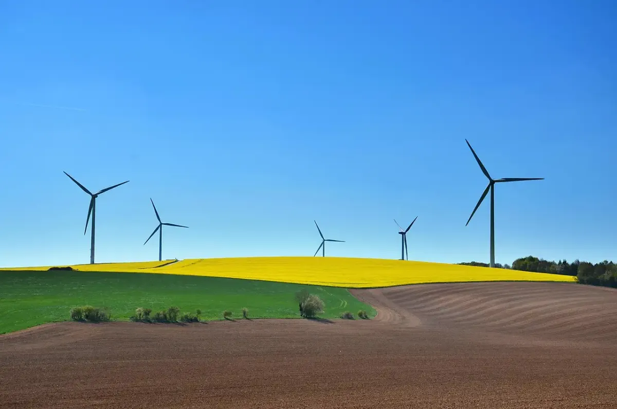 Éducation au développement durable