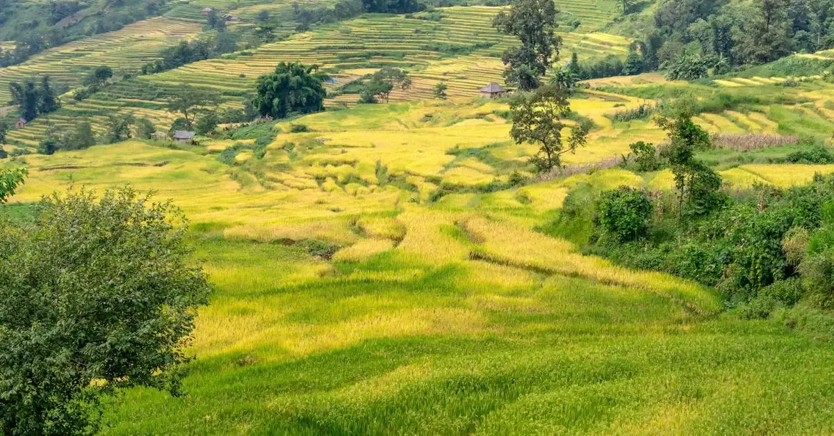 Agriculture Durable en Moyenne Montagne : Pratiques et