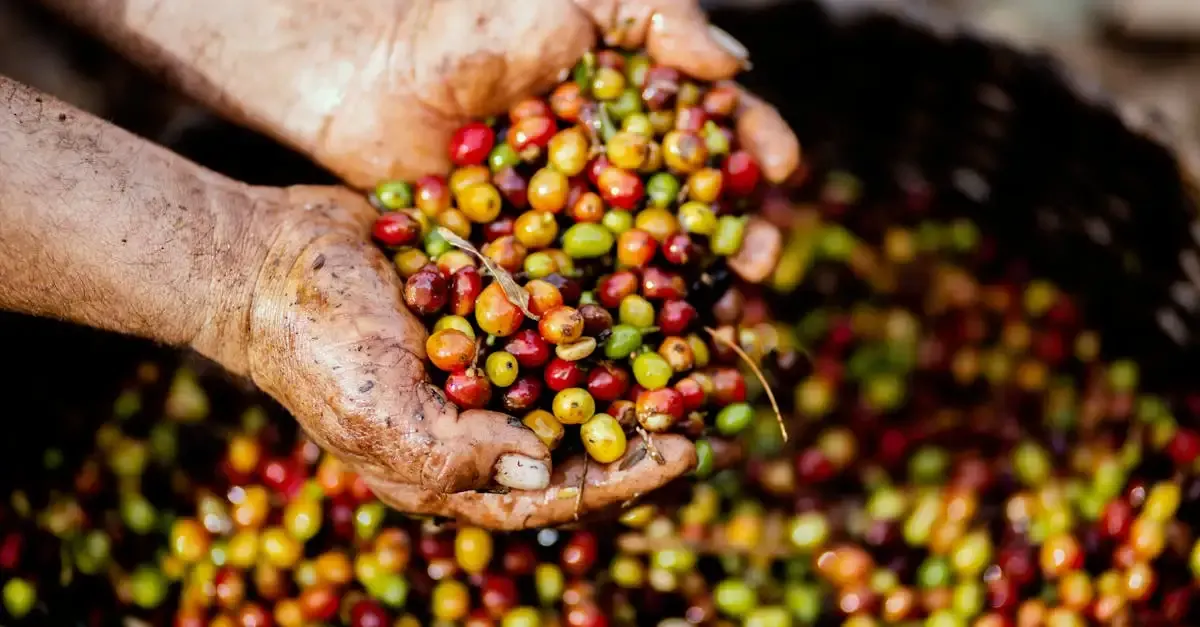 Alimentation durable et responsable