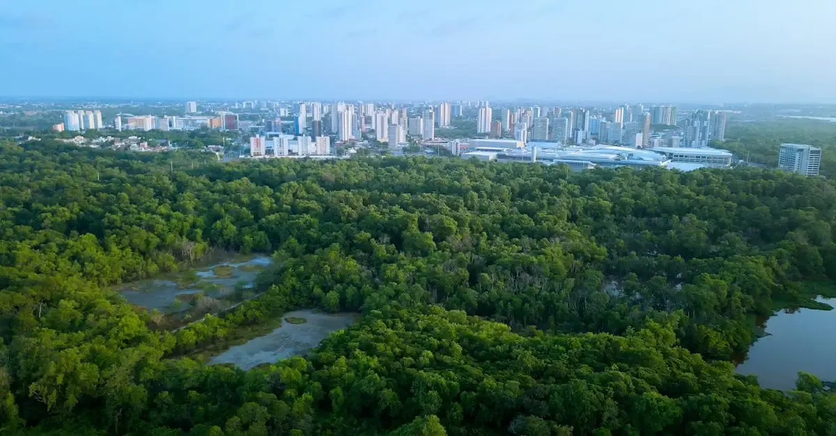 Biodiversité et développement durable : enjeux et solutions