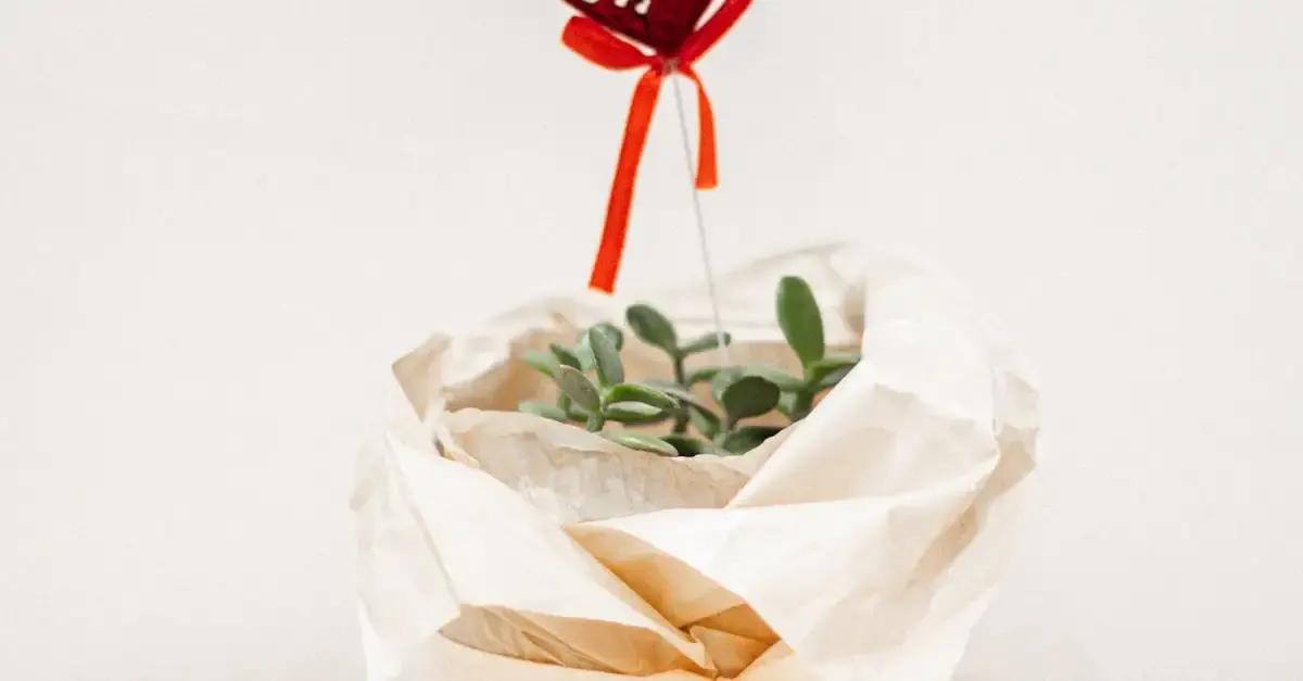 Cadeau durable