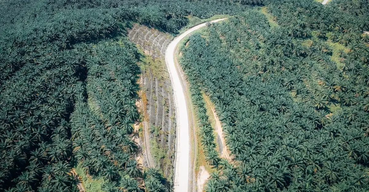 Développement durable territoire