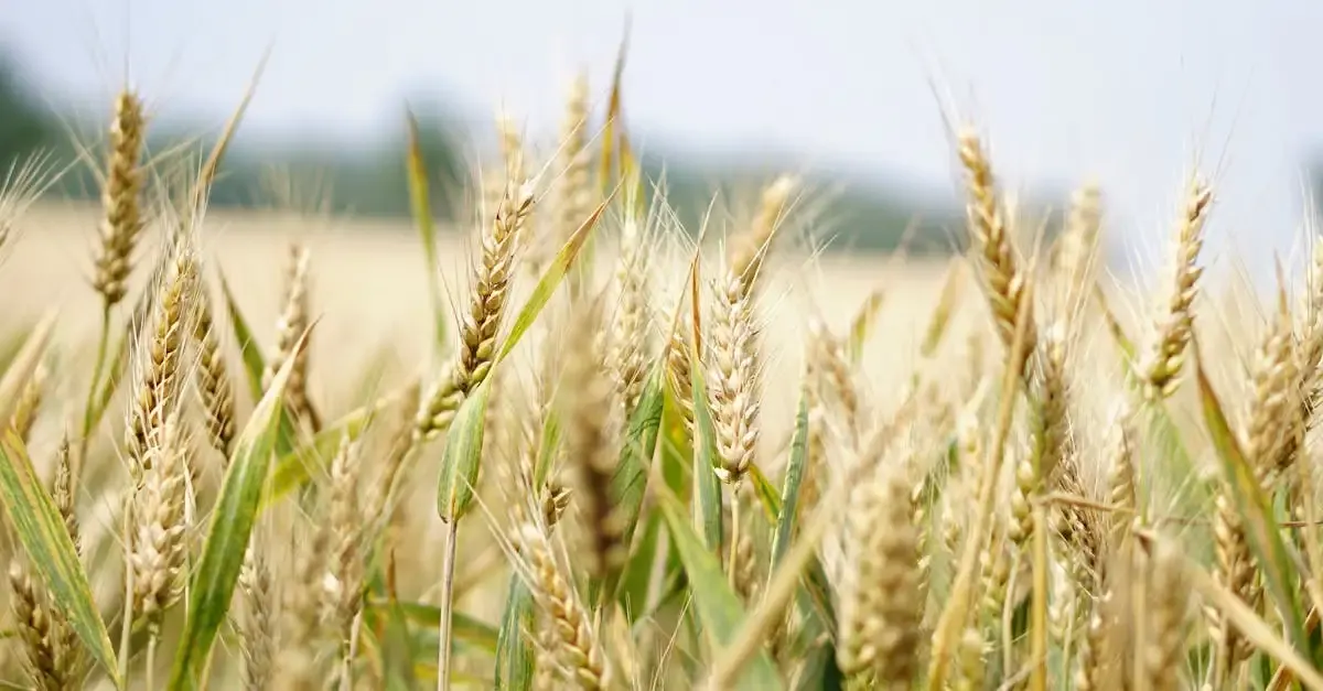 Génération croissance durable