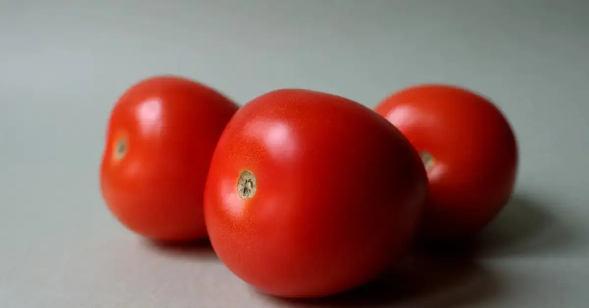 La cuisine minceur durable : recettes saines et équilibrées