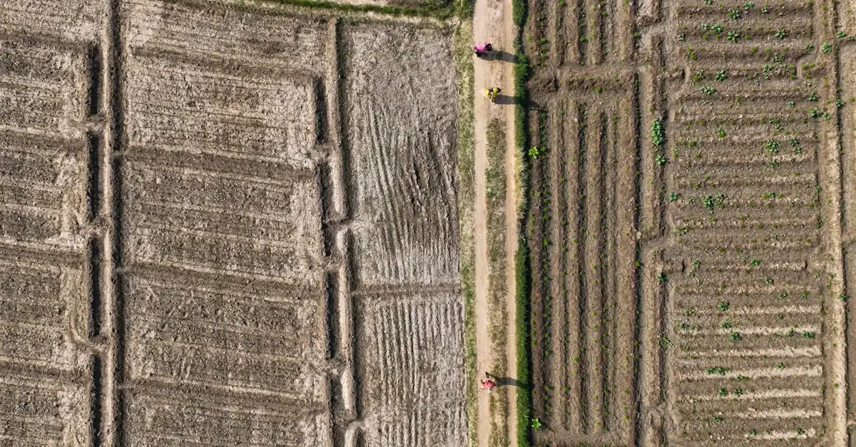 Qu'est-ce que l'agriculture durable ? Définition et enjeux.