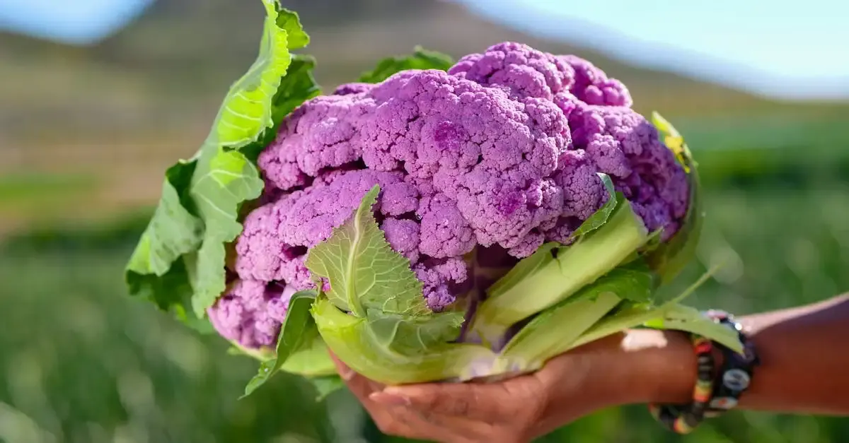 Journée de l alimentation durable
