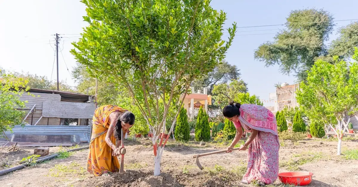 Journée du développement durable