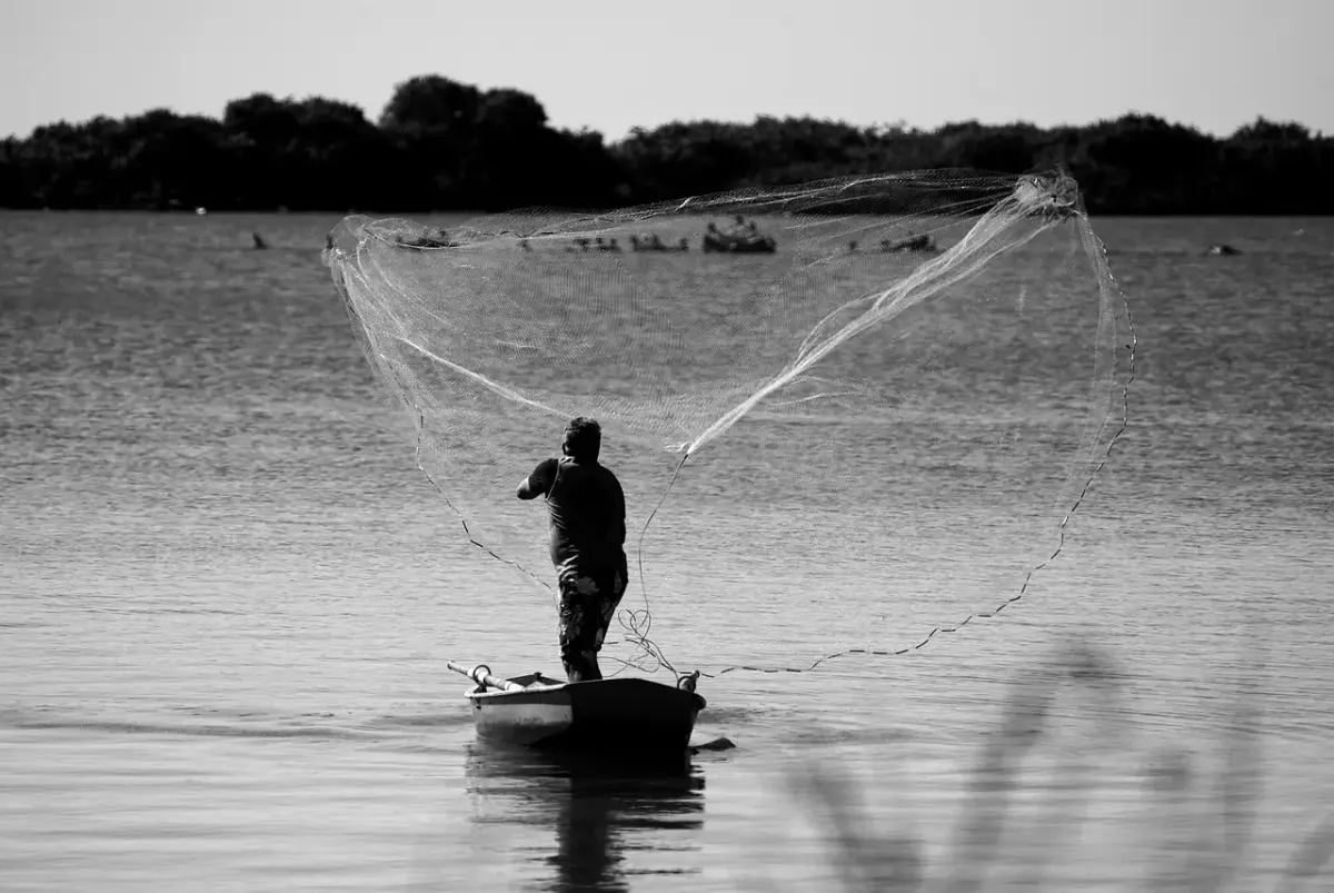 Guide : Les poissons de saison pour la pêche durable