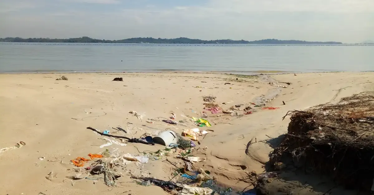 Livret developpement durable solde minimum