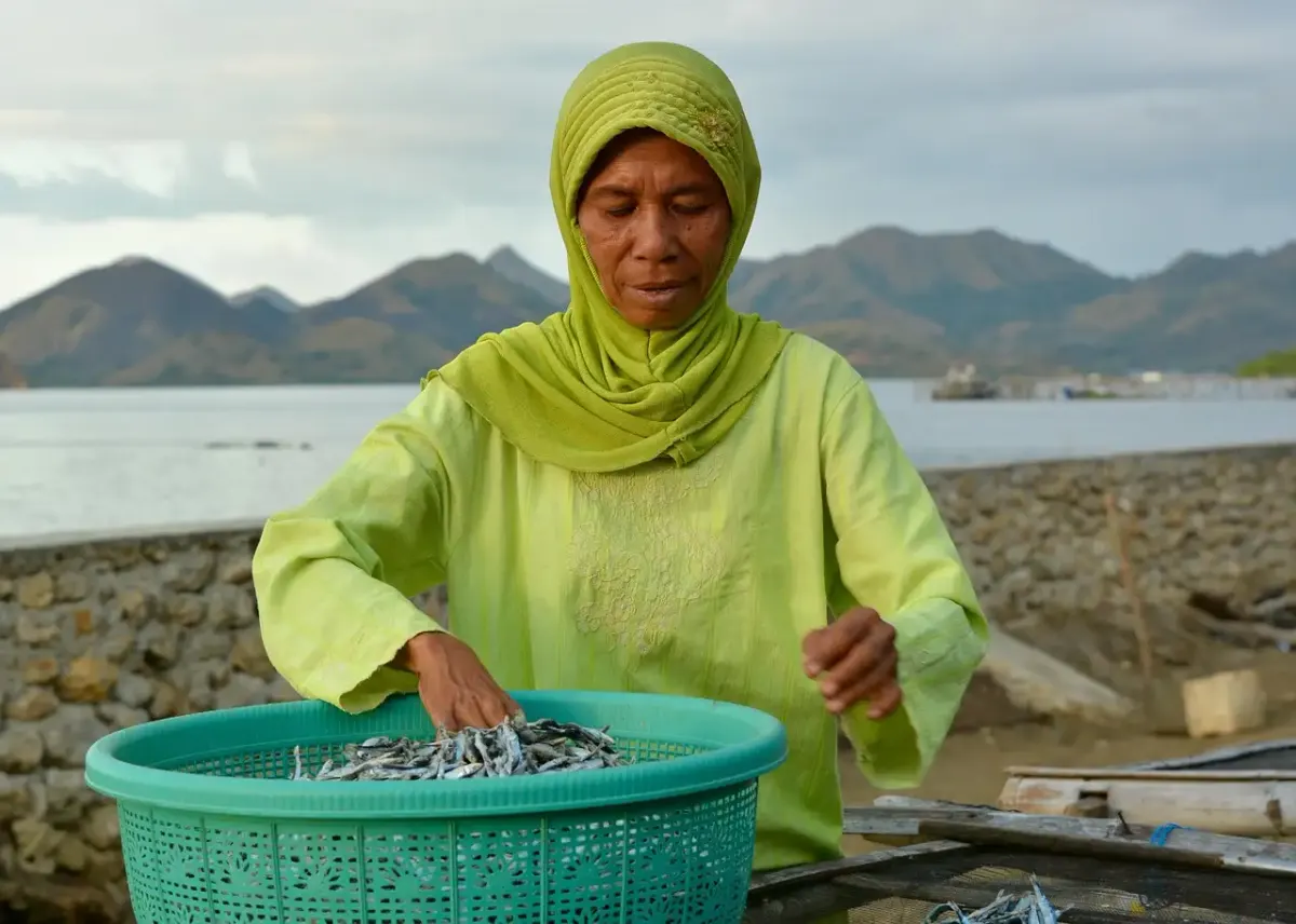 Pêche durable
