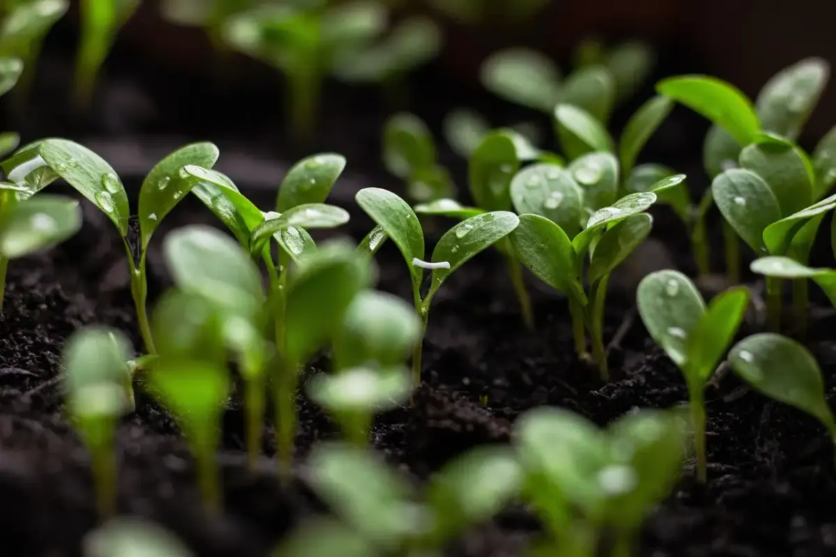 Plateforme d'investissement : finance verte et durable