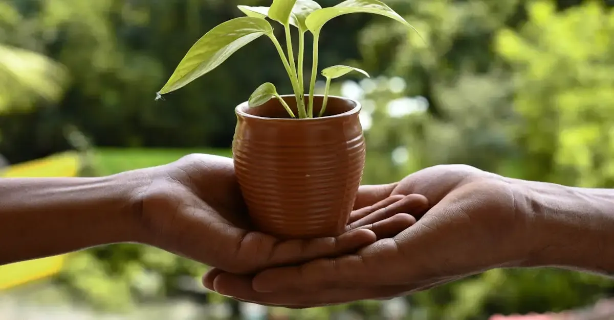 Comment adopter une production durable et responsable