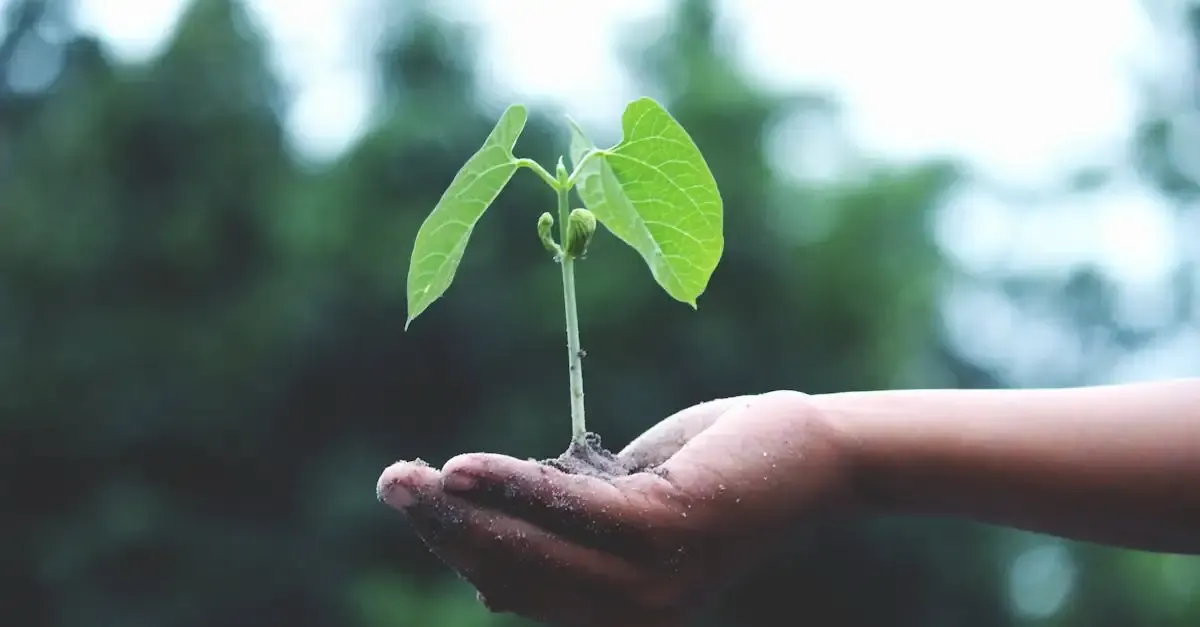 Solutions durables pour un avenir écologique et responsable