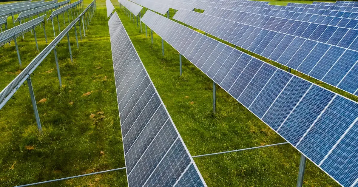 Transition écologique et développement durable